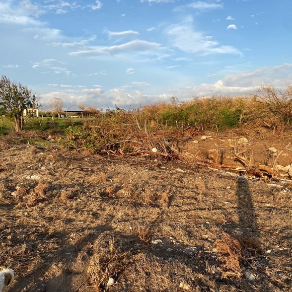 Help with Hurricane Melissa-Abstract Painting - Picture 2 of 4